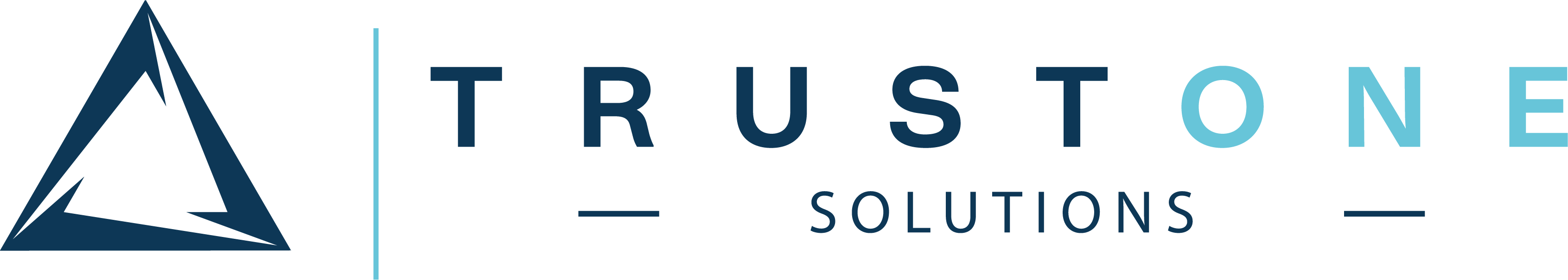 TrustOne Solutions